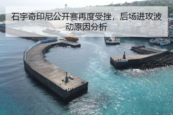 石宇奇印尼公开赛再度受挫，后场进攻波动原因分析